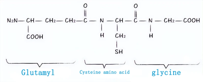 If glutathione is used in pig feed, will pork taste better?