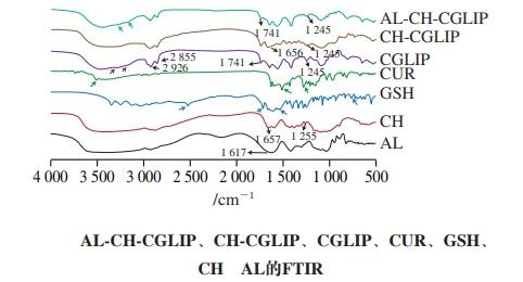 Composition and interaction of nano-liposomes