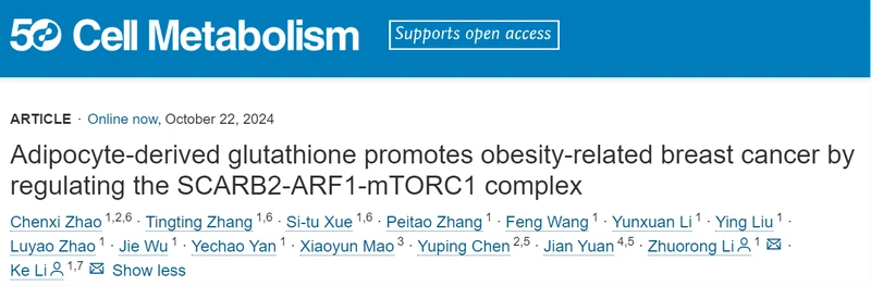 Adipocyte-Derived Glutathione Promotes Obesity-Related Breast Cancer by Regulating the SCARB2-ARF1-mTORC1 Complex