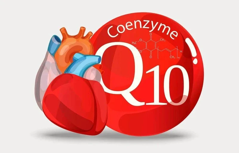 Coenzyme Q10 is the heart's charging pile