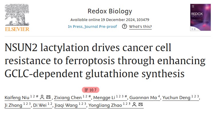 Enhancing GCLC-dependent glutathione synthesis to drive cancer cell resistance to iron death