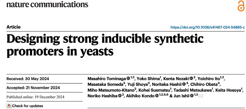 Design principles of strongly inducible synthetic promoters in yeast