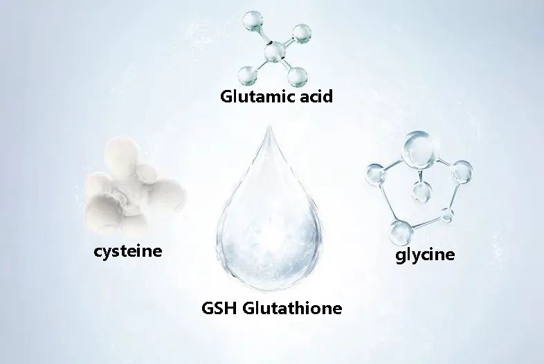 Anti-aging effect of glutathione