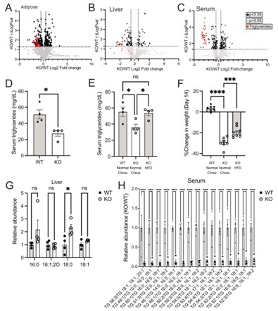 When mice were depleted of glutathione, triglyceride levels decreased