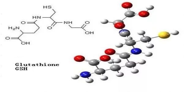 What is glutathione?