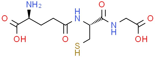 Glutathione reductase is body's little antioxidant guardian