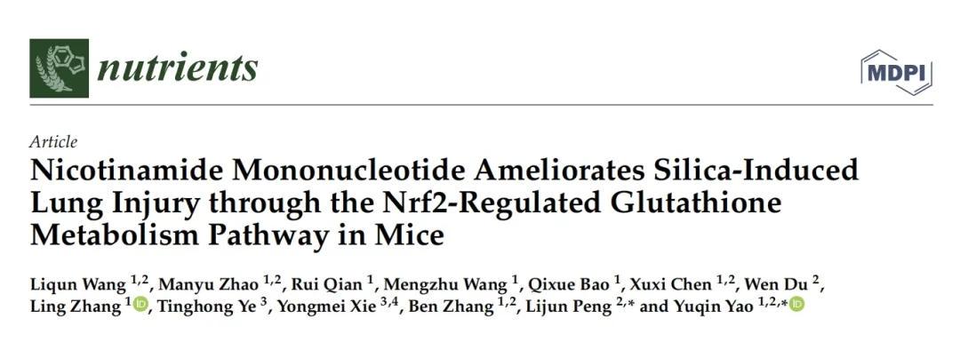 NAD+ supplementation can help prevent or reduce lung injury and associated inflammation