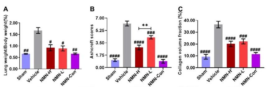 After 28 days of exposure to silica powder, lung weight coefficient, pathological score and collagen volume score of 5 groups of mice were measured