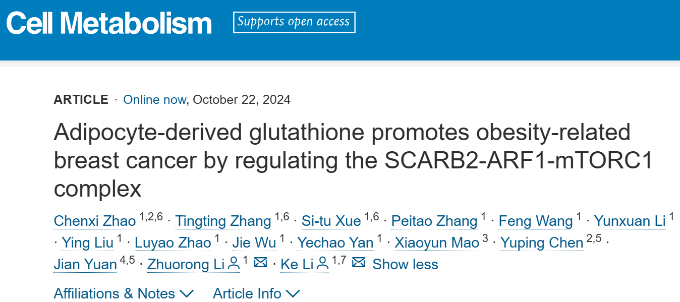 Glutathione is able to link obesity and breast cancer progression through activation of mTOR signaling