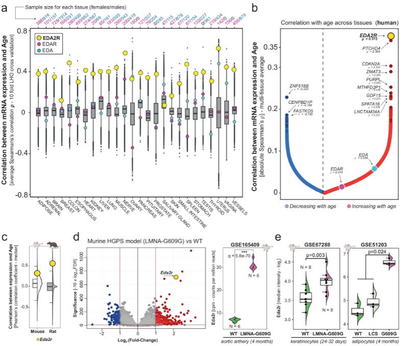 Tissue expression database